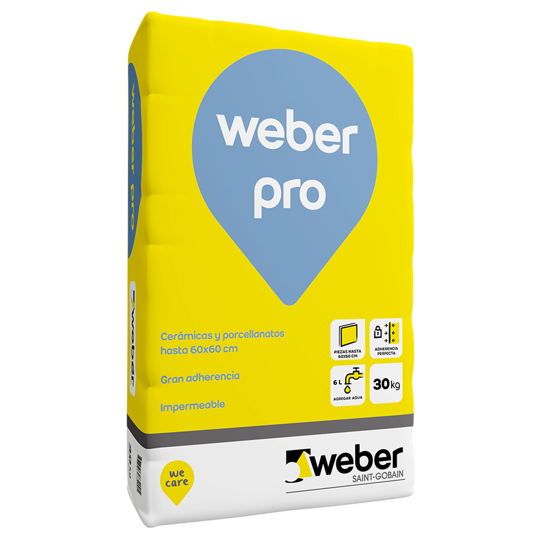 WEBER PRO