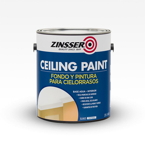 CEILING PAINT